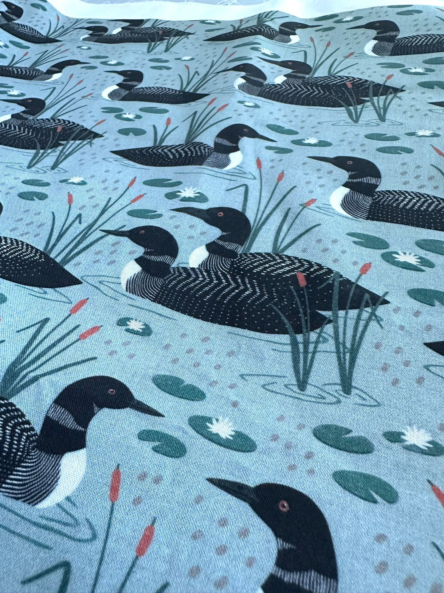 Loons - Teal