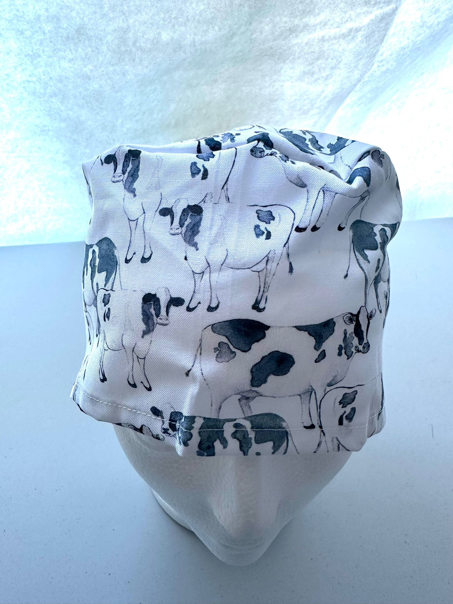 Holstein Cows - White