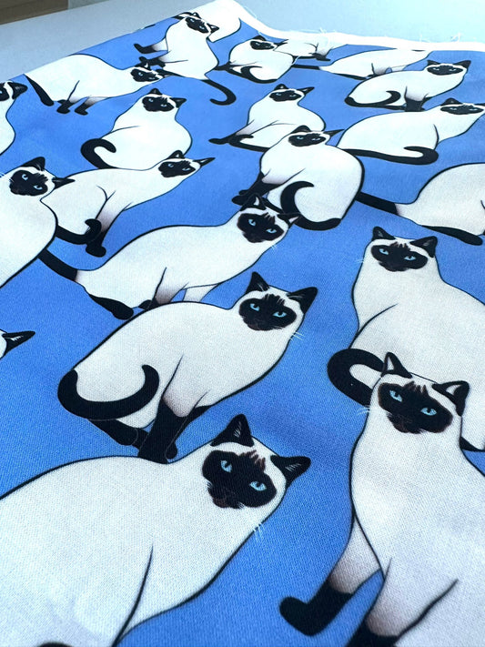 Siamese Cats - Blue