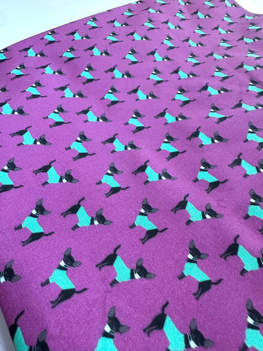 Chihuahua Doctors - Purple