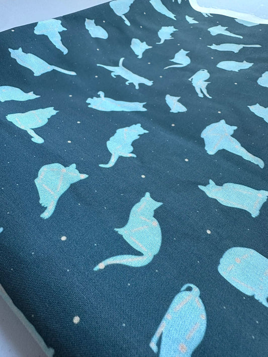 Astrology Cats - Navy