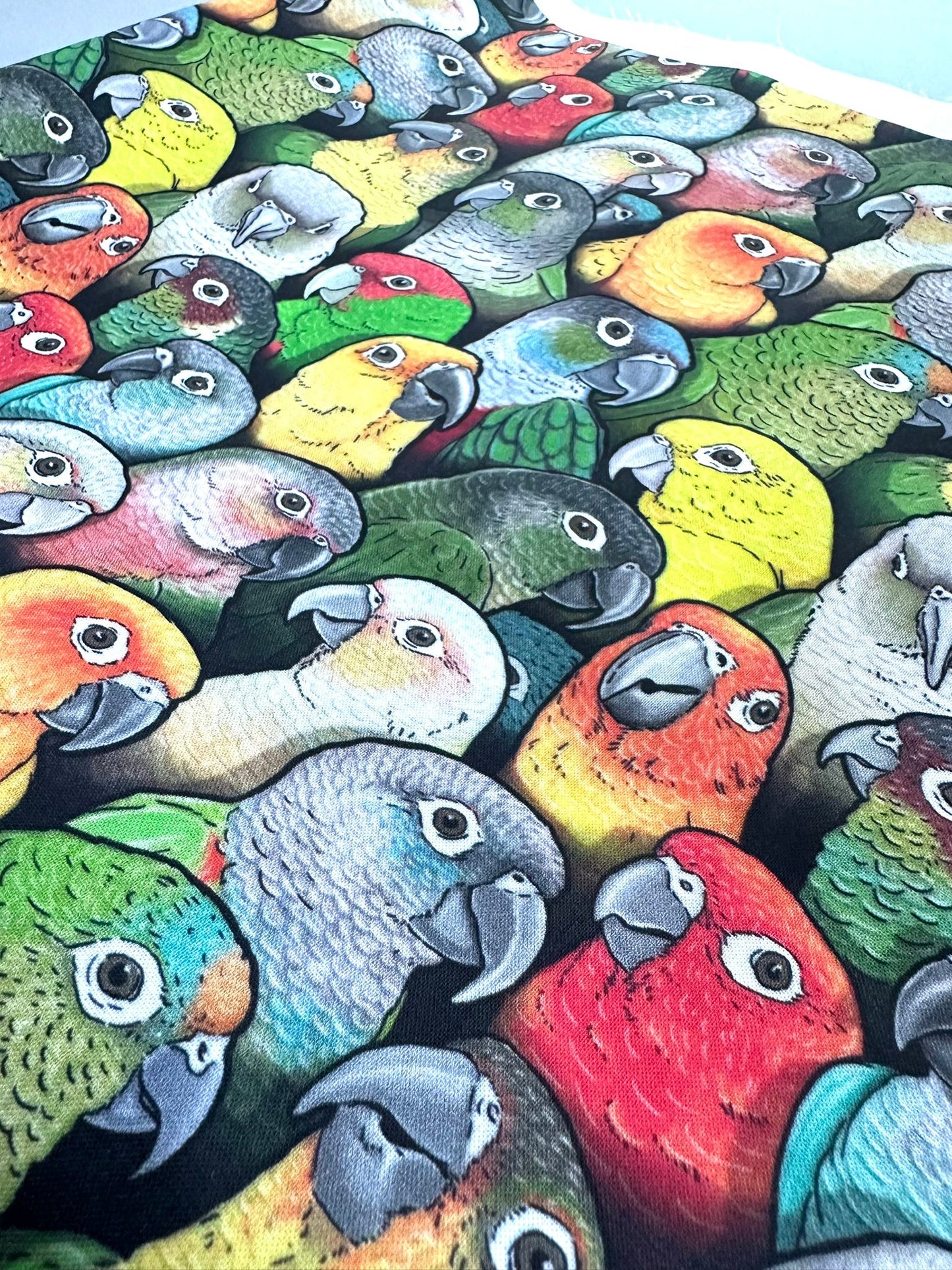 Colorful Parrots