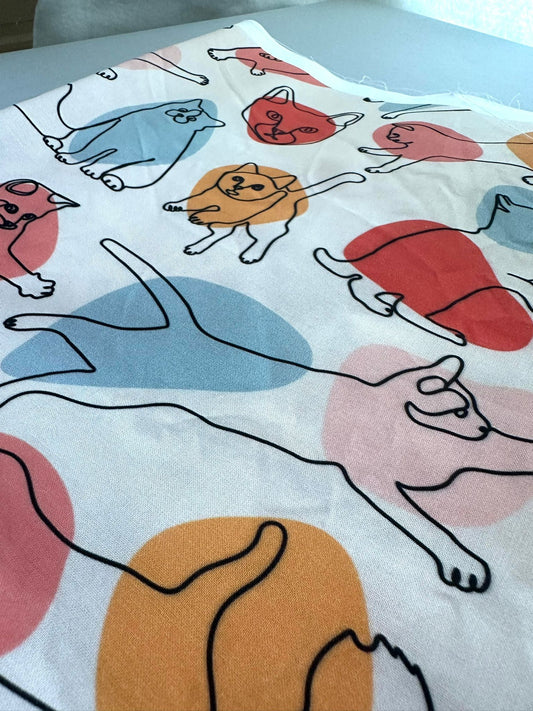 Colorful Cats