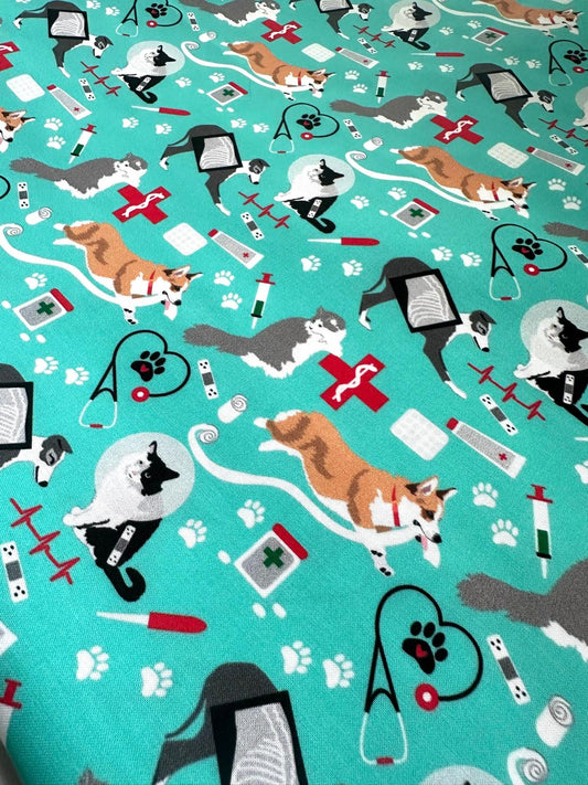 Veterinary Animals - Teal