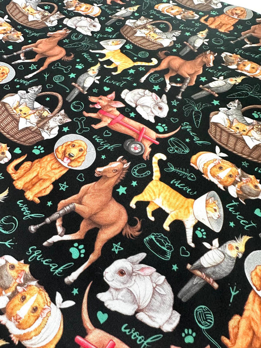 Veterinary Animals - Black